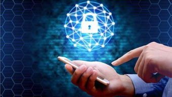 網(wǎng)絡(luò)安全威脅加劇 物聯(lián)網(wǎng)時(shí)代下，行為生物識(shí)別技術(shù)或成終極守護(hù)者